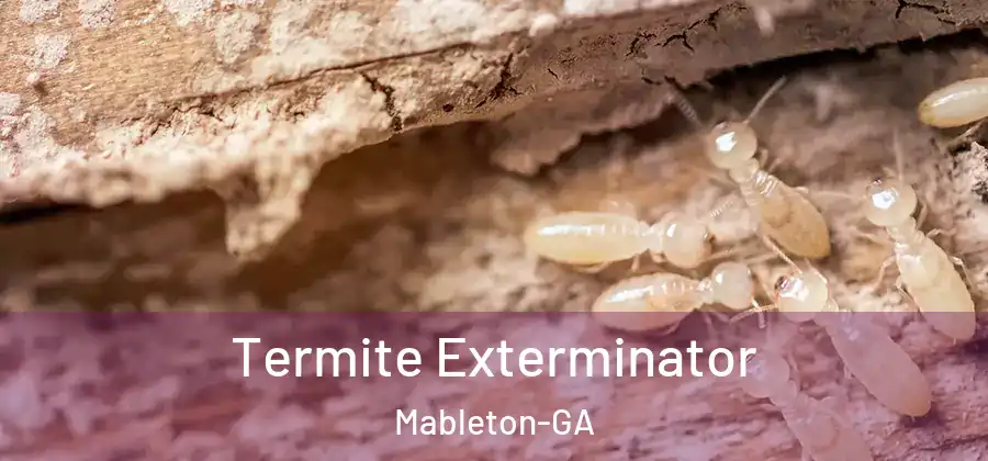  Termite Exterminator Mableton-GA