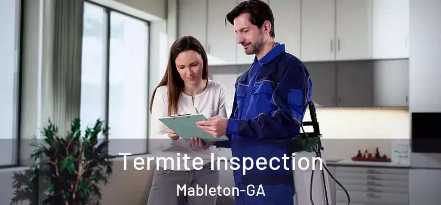 Termite Inspection Mableton-GA