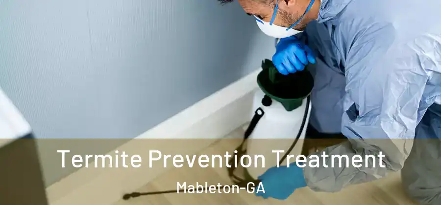 Termite Prevention Treatment Mableton-GA