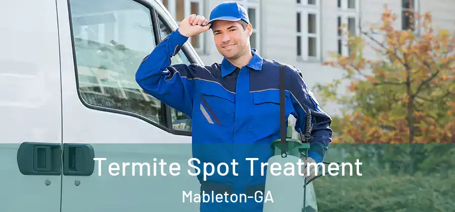 Termite Spot Treatment Mableton-GA