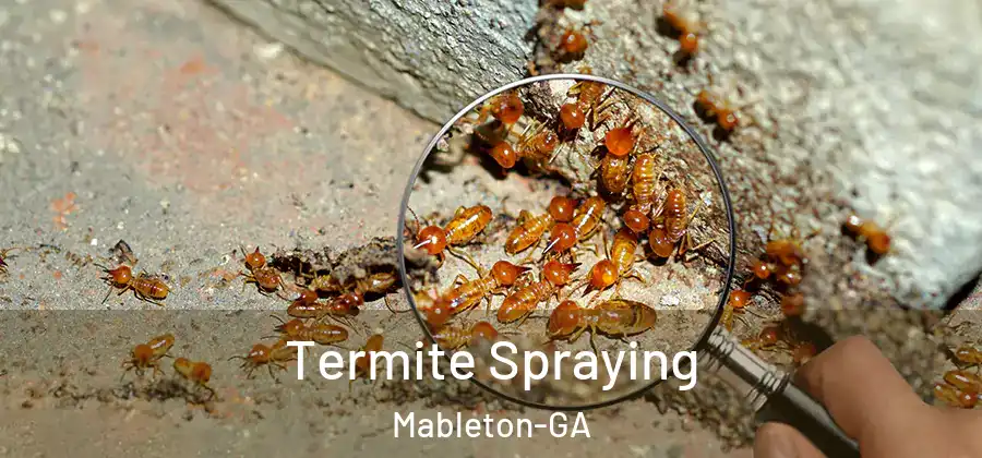 Termite Spraying Mableton-GA
