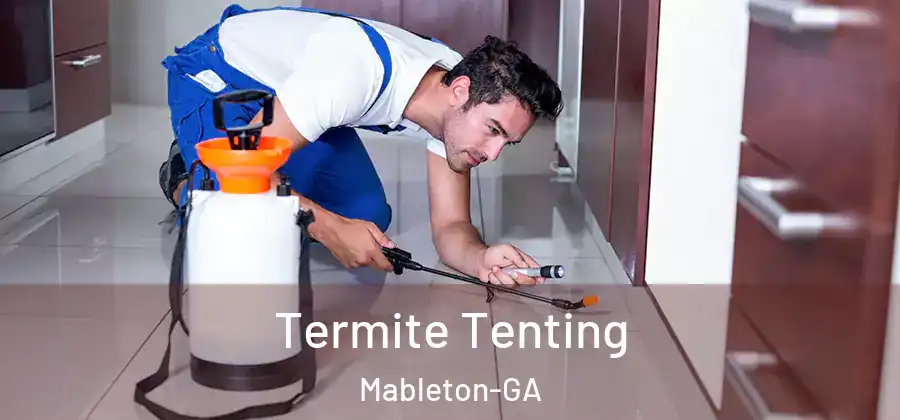 Termite Tenting Mableton-GA