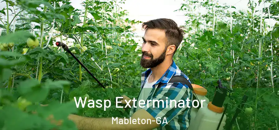 Wasp Exterminator Mableton-GA