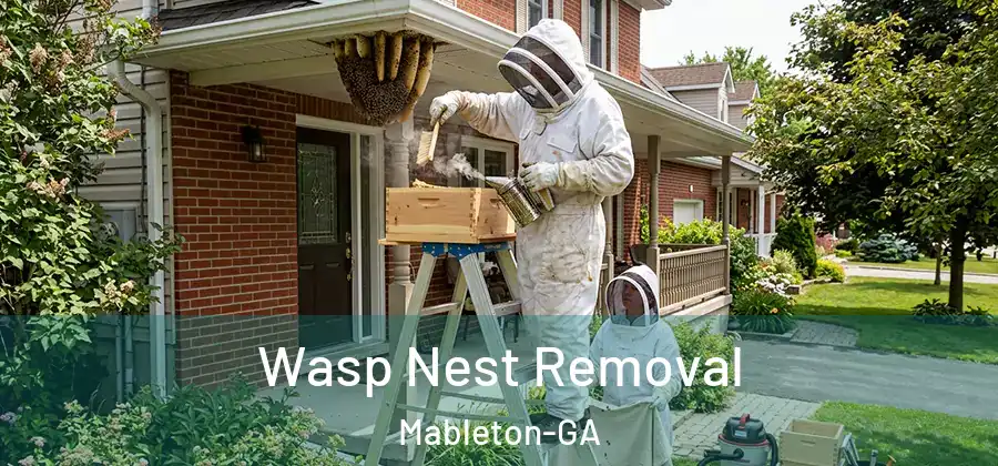 Wasp Nest Removal Mableton-GA