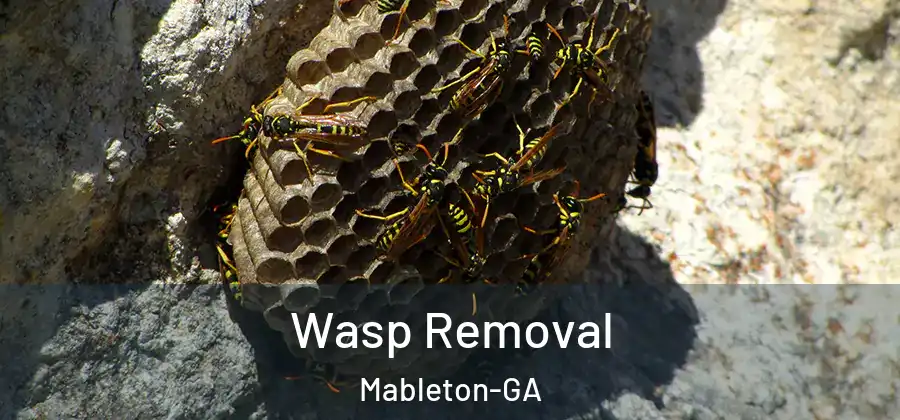 Wasp Removal Mableton-GA