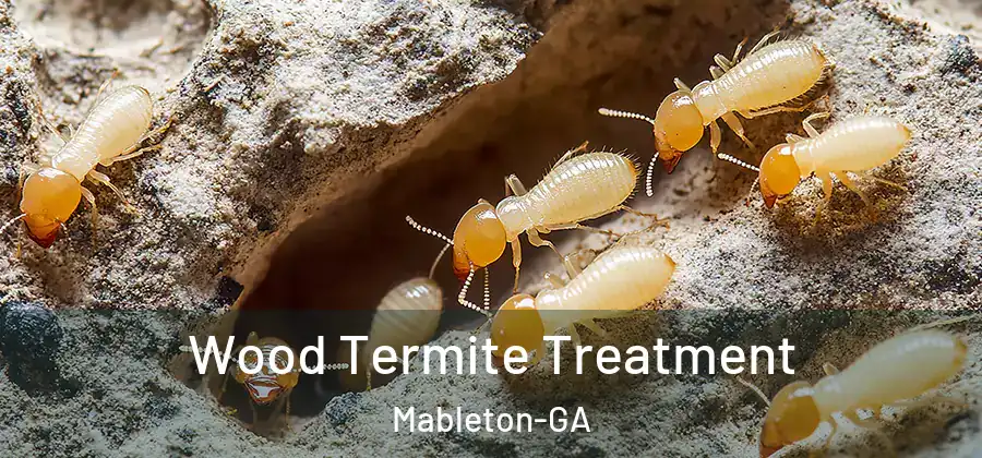 Wood Termite Treatment Mableton-GA