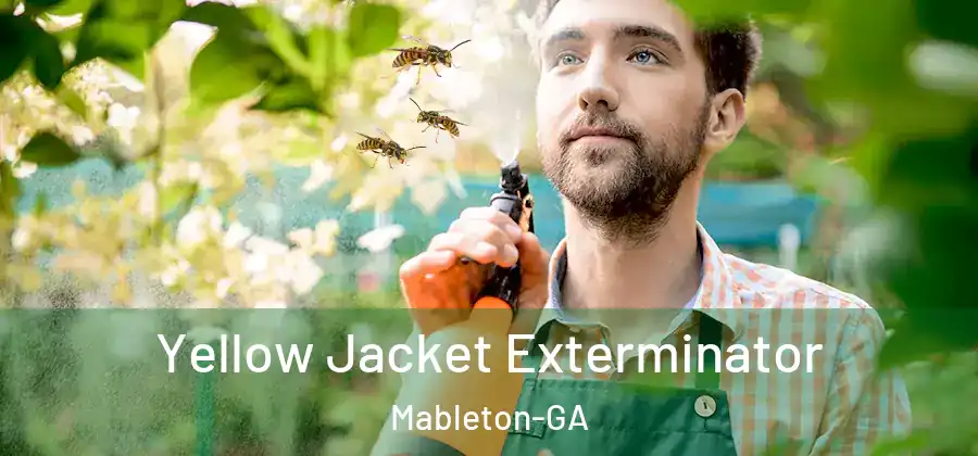 Yellow Jacket Exterminator Mableton-GA