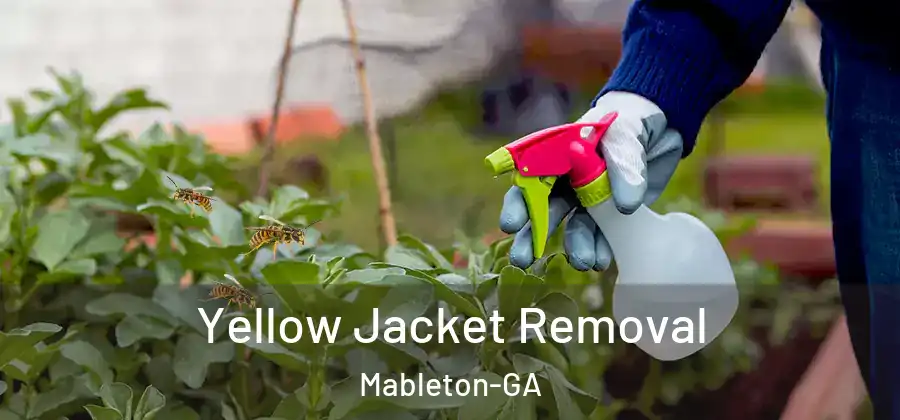Yellow Jacket Removal Mableton-GA